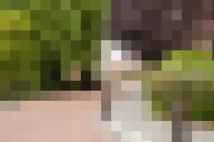 Aagje Dekenstraat 12 C Spijkenisse thumbnail 32