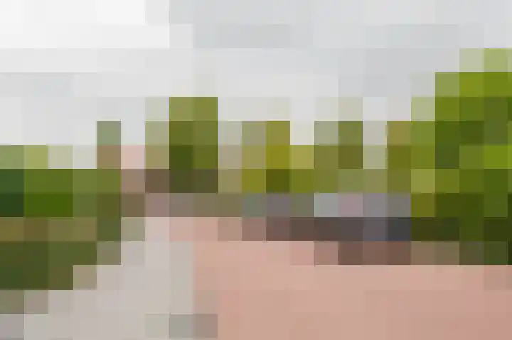Aagje Dekenstraat 12 C Spijkenisse thumbnail 33