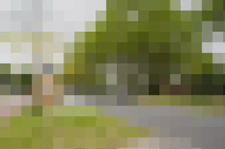 Aagje Dekenstraat 12 C Spijkenisse thumbnail 34