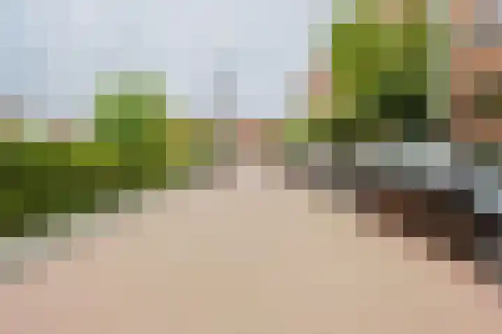 Aagje Dekenstraat 12 C Spijkenisse thumbnail 7