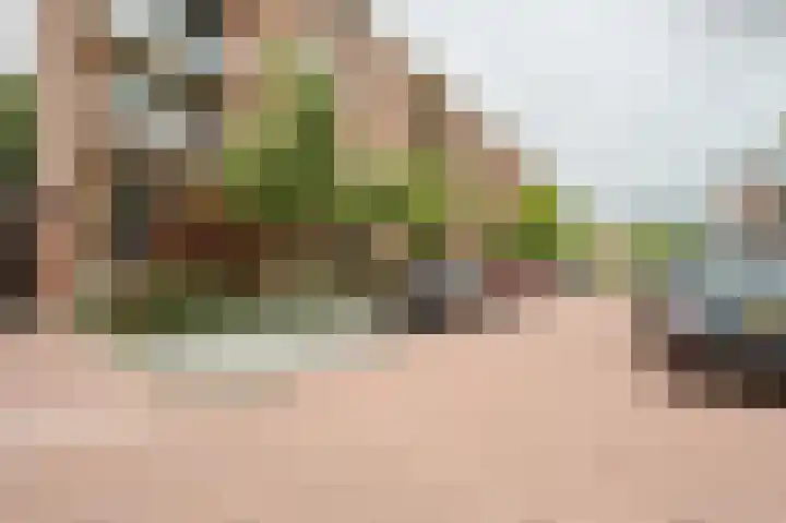 Aagje Dekenstraat 12 C Spijkenisse thumbnail 8