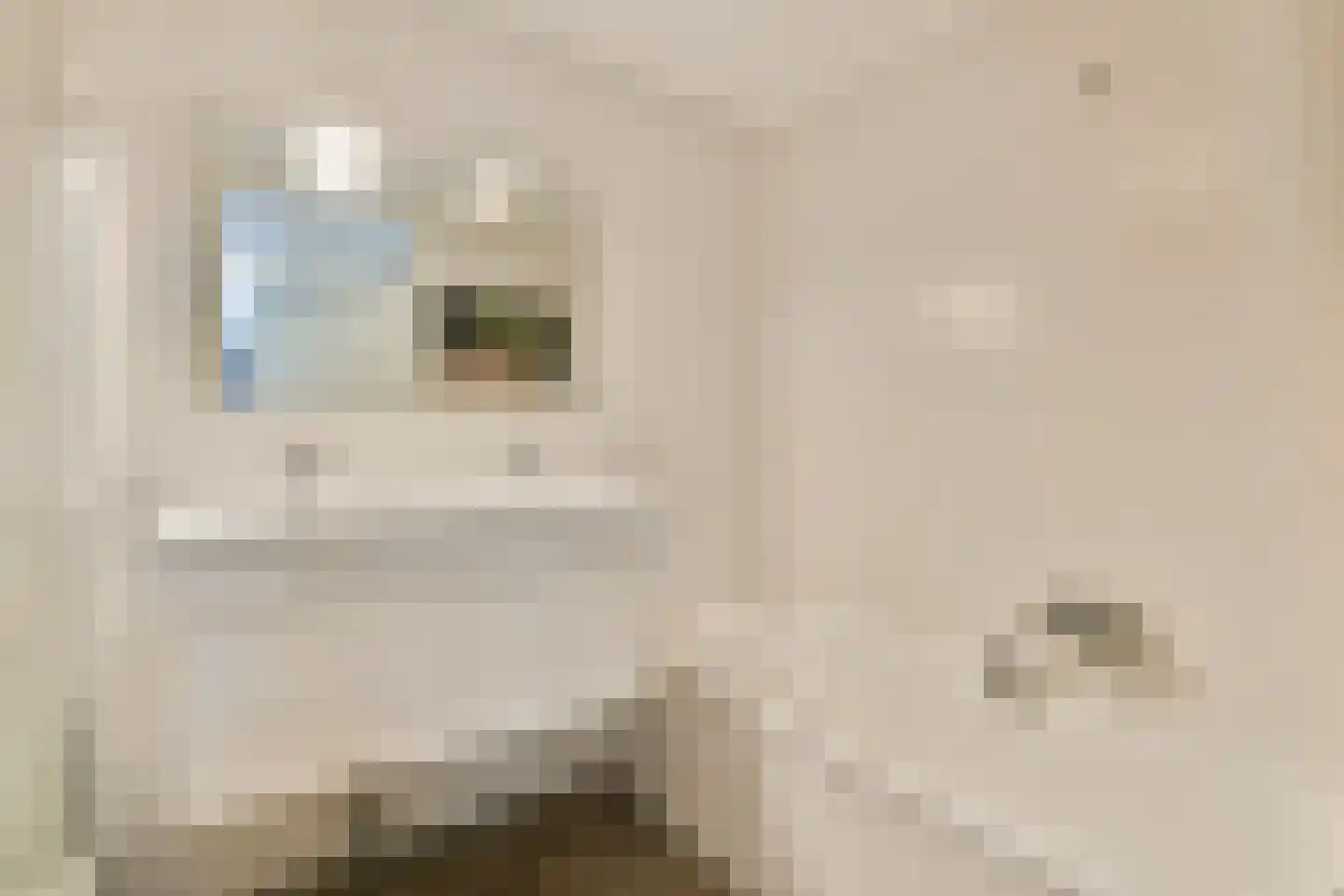 Aagje Dekenstraat 13 Hoofddorp thumbnail 14