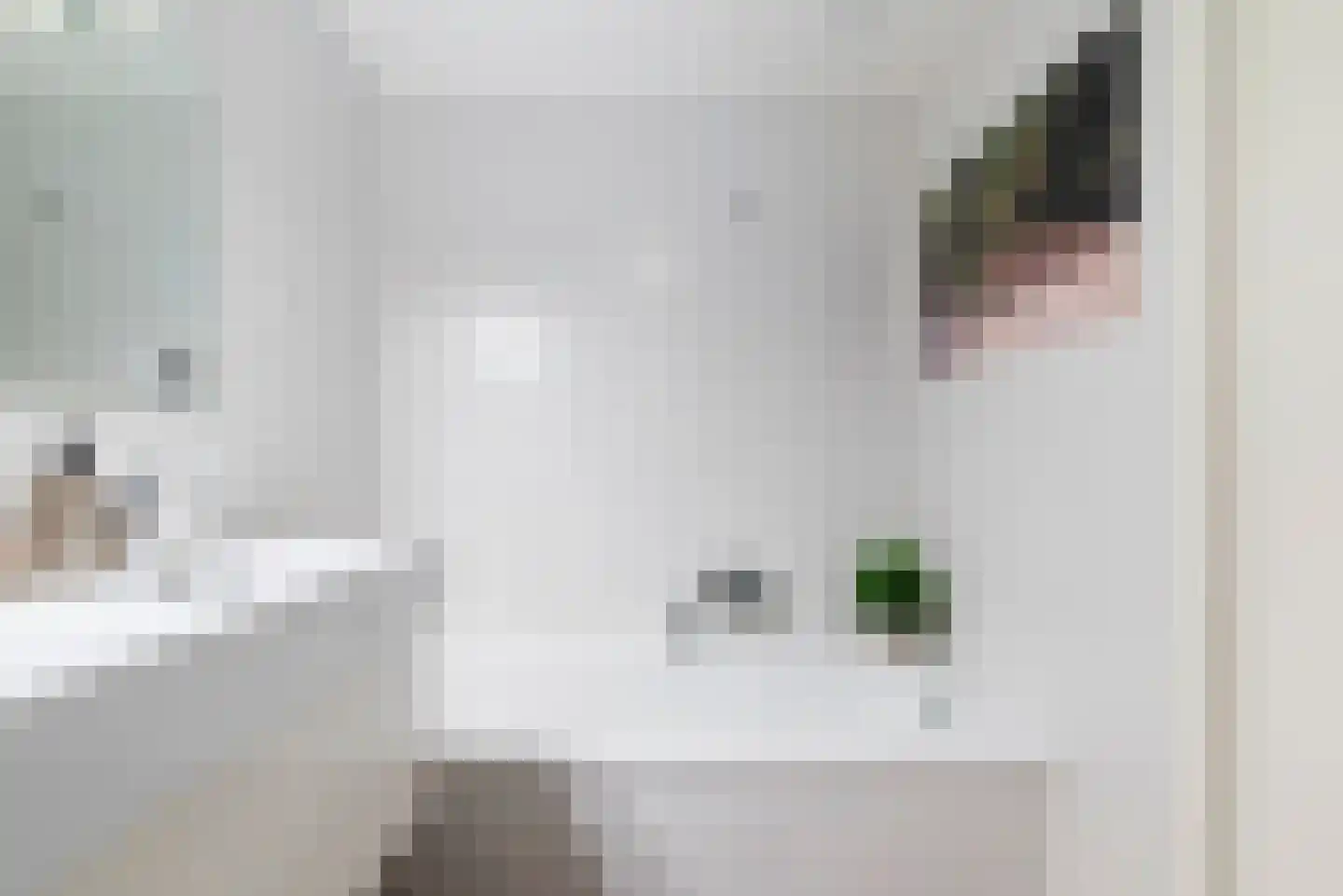 Aagje Dekenstraat 13 Hoofddorp thumbnail 22