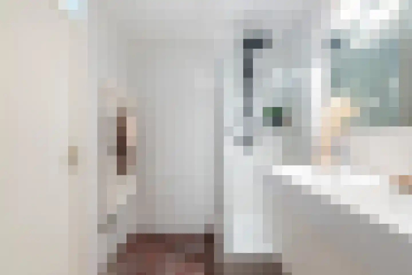 Aagje Dekenstraat 13 Hoofddorp thumbnail 23