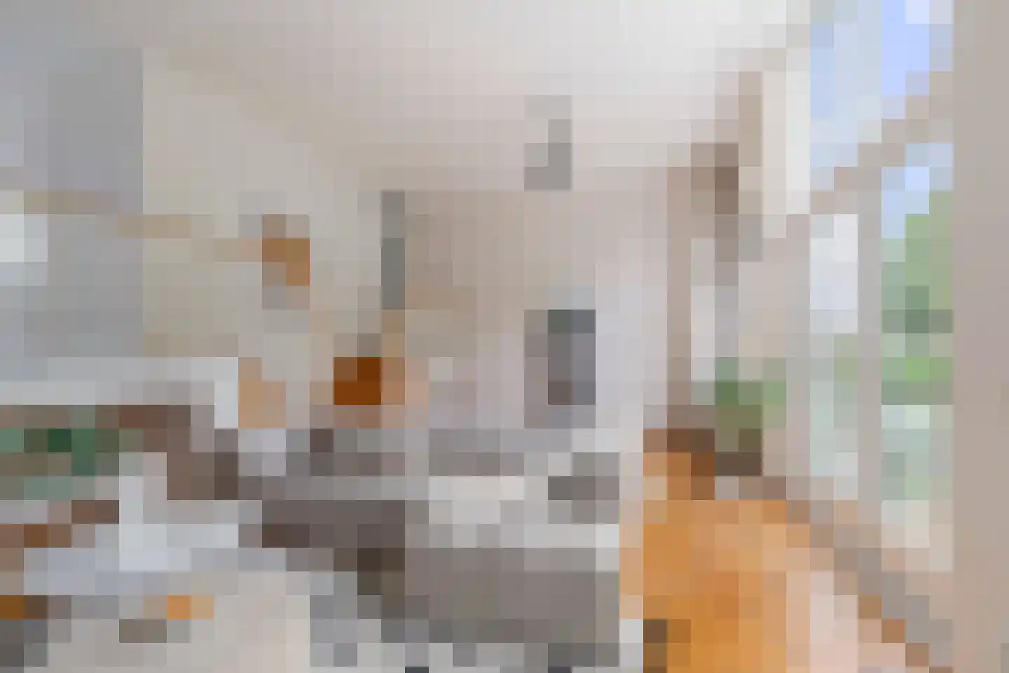 Aagje Dekenstraat 13 Hoofddorp thumbnail 4