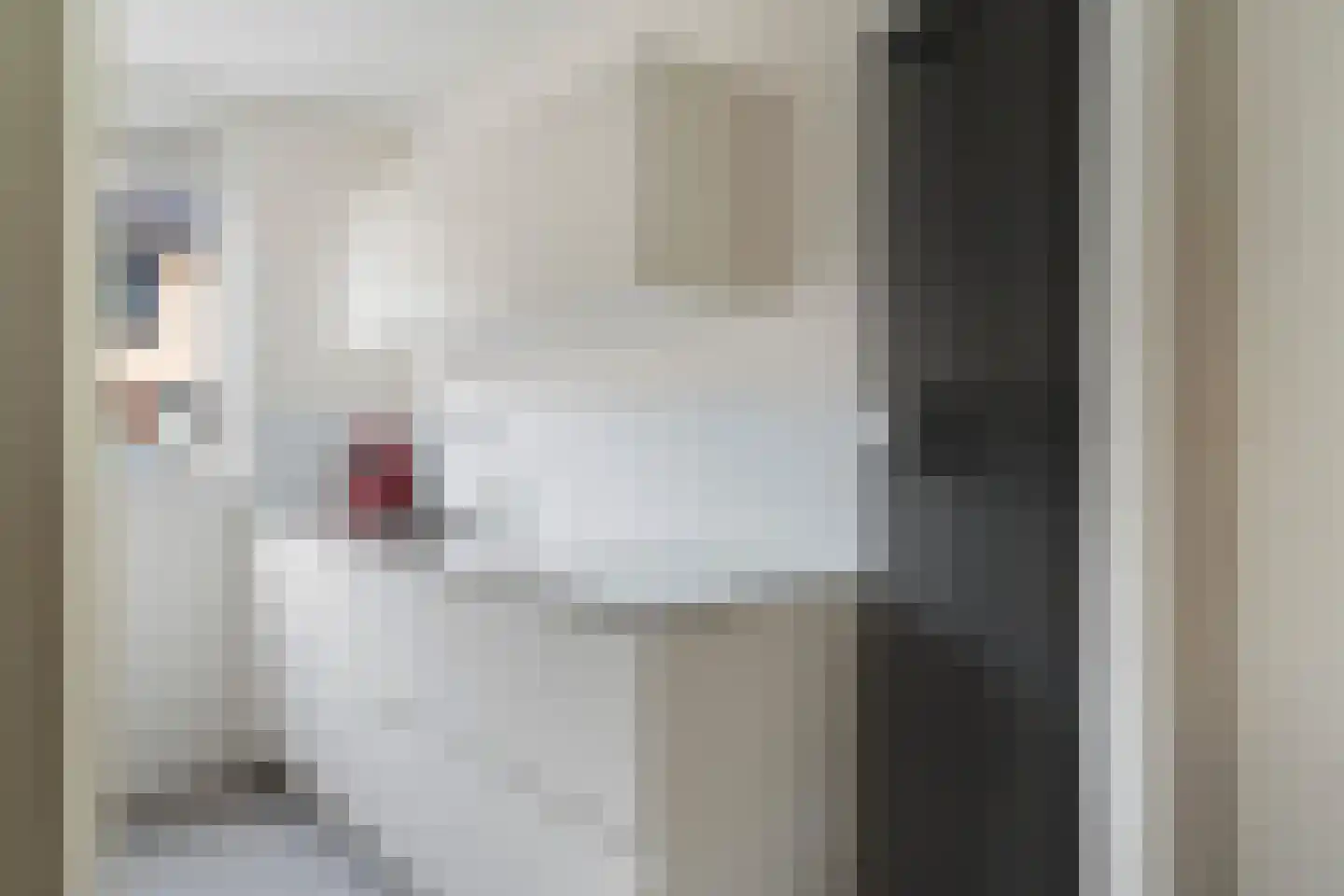 Aagje Dekenstraat 16 Pijnacker thumbnail 11