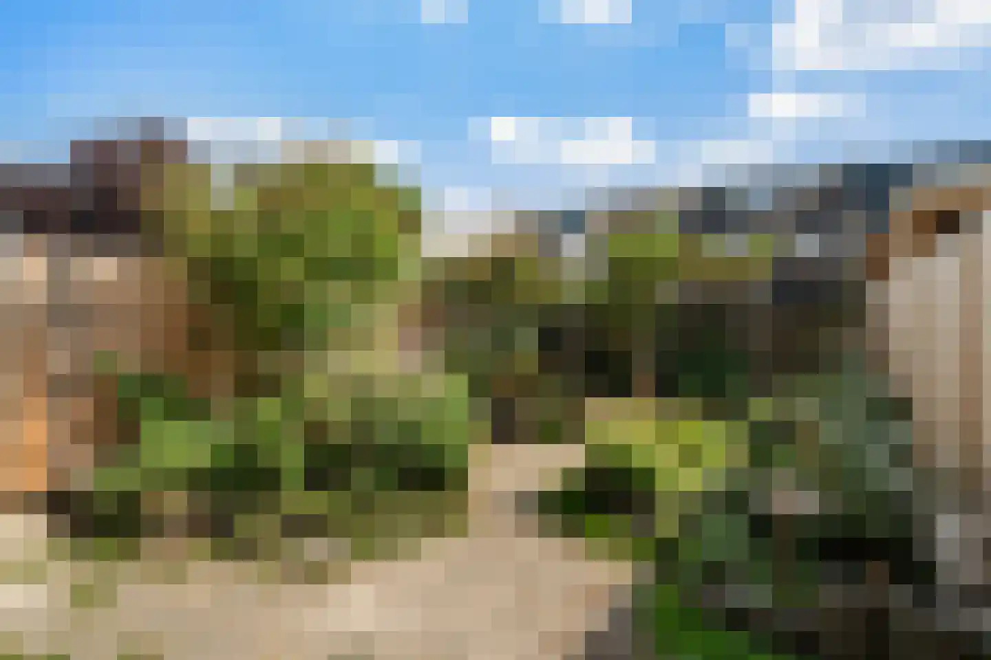 Aagje Dekenstraat 16 Pijnacker thumbnail 24