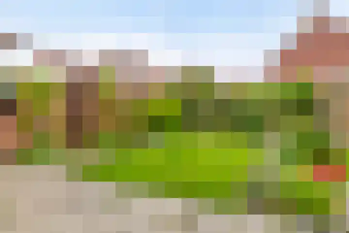Aagje Dekenstraat 16 Terneuzen thumbnail 30