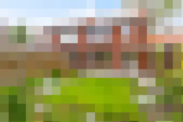 Aagje Dekenstraat 16 Terneuzen thumbnail 32