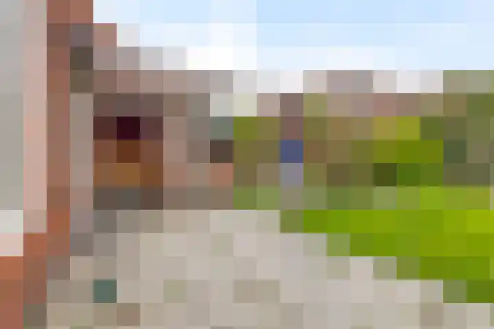 Aagje Dekenstraat 16 Terneuzen thumbnail 33