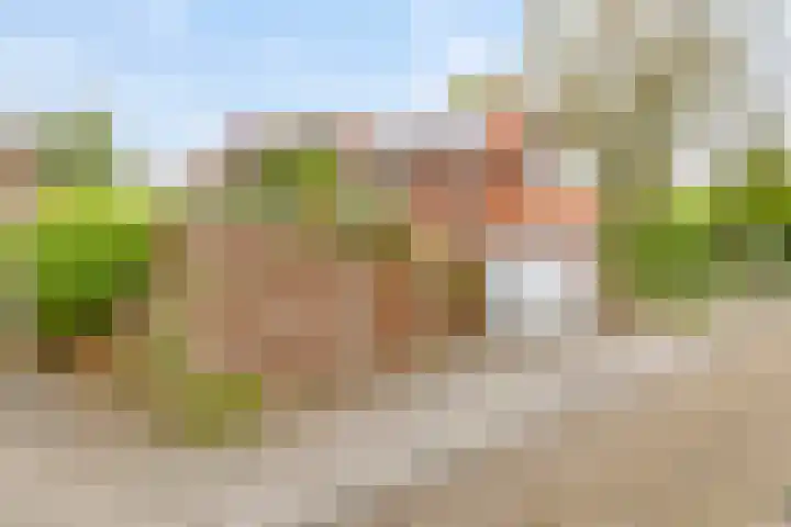 Aagje Dekenstraat 16 Terneuzen thumbnail 4
