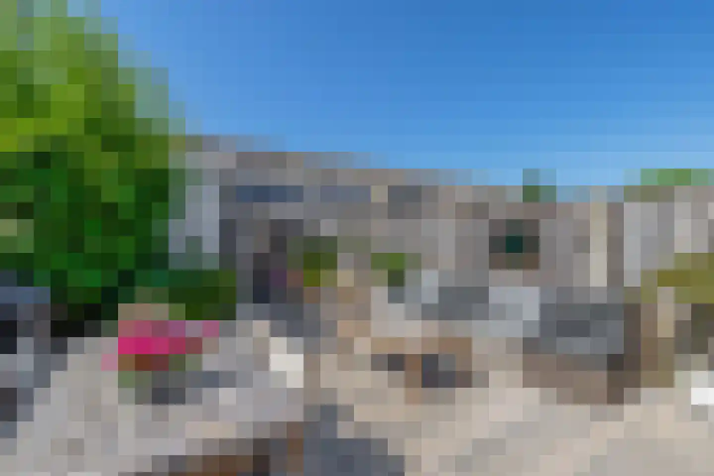 Aagje Dekenstraat 16 Zaandam thumbnail 21