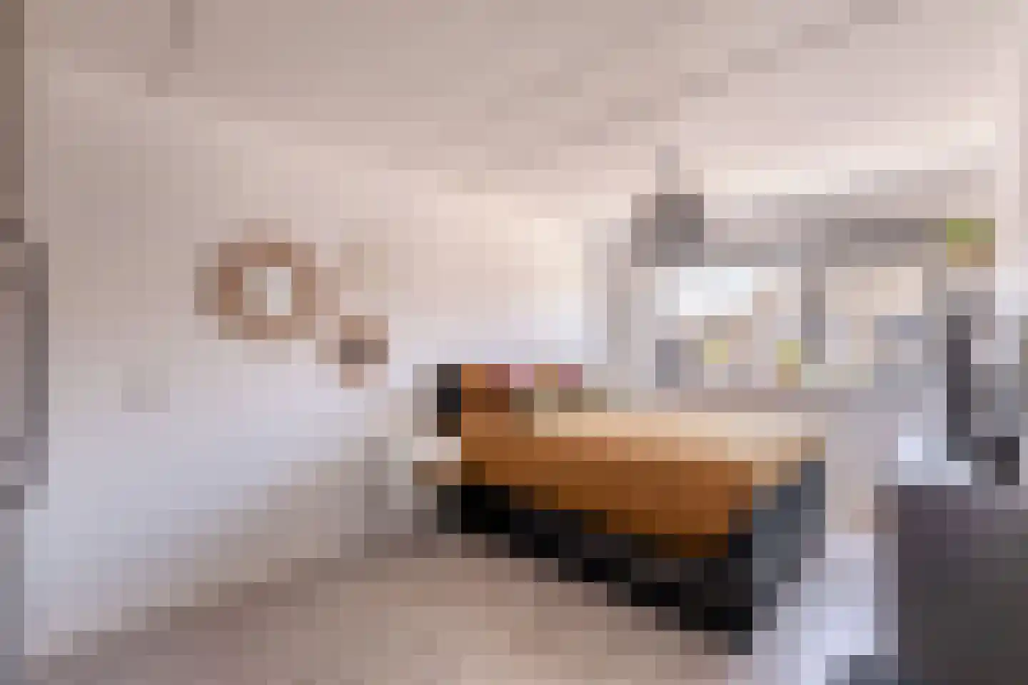 Aagje Dekenstraat 16 Zaandam thumbnail 24