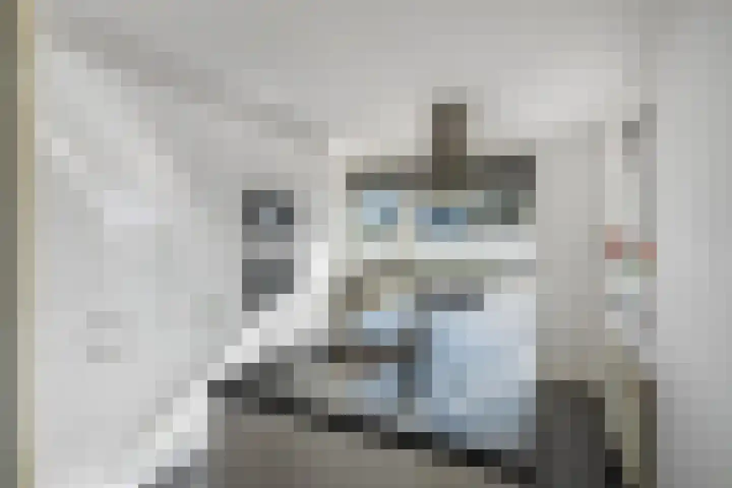Aagje Dekenstraat 17 Zaandam thumbnail 15