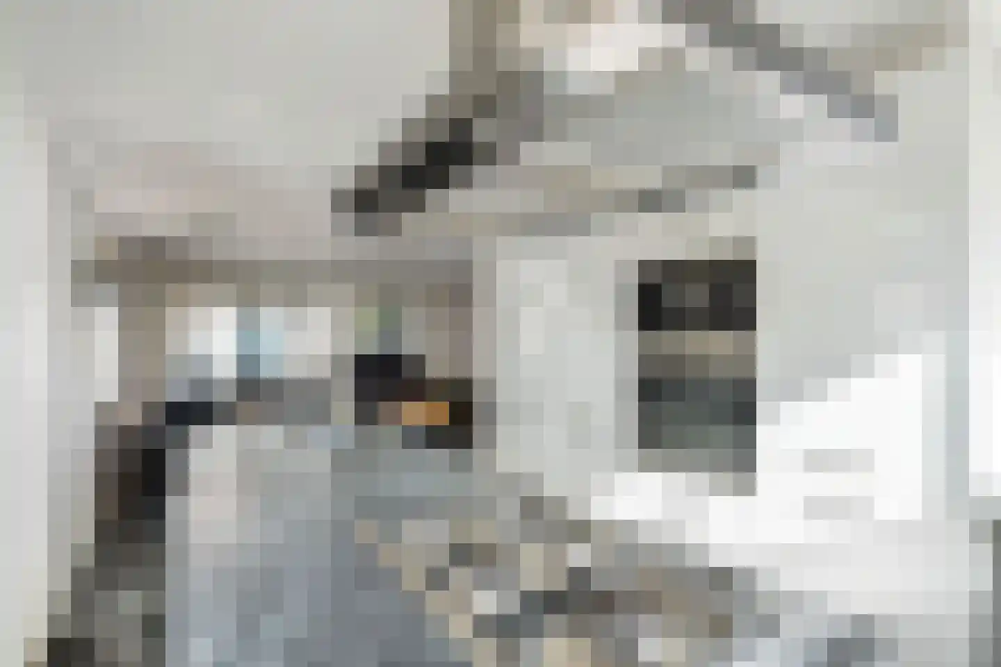 Aagje Dekenstraat 17 Zaandam thumbnail 16