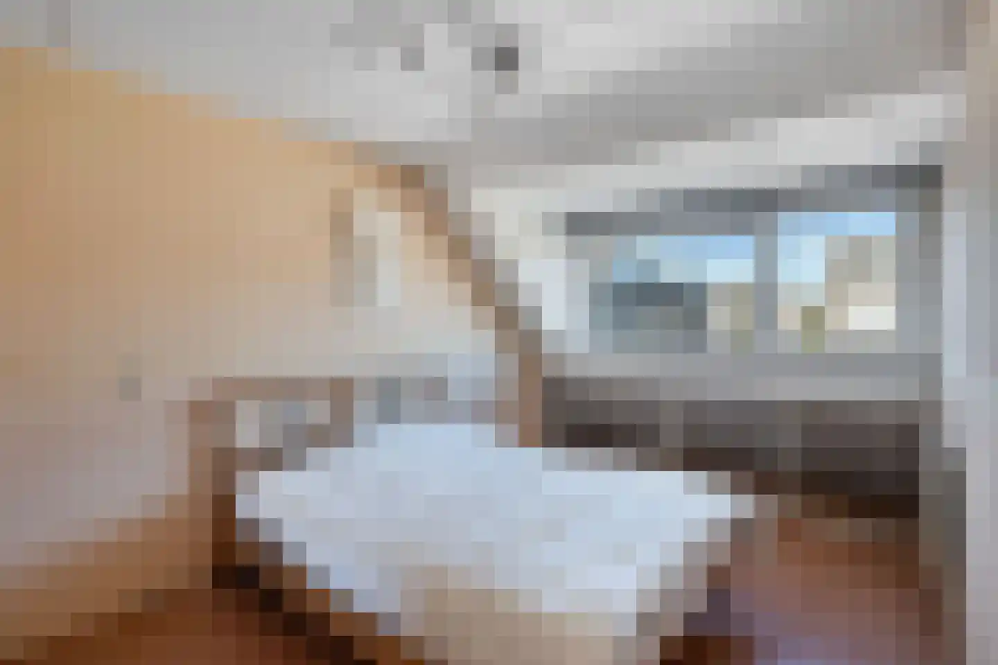 Aagje Dekenstraat 17 Zaandam thumbnail 18