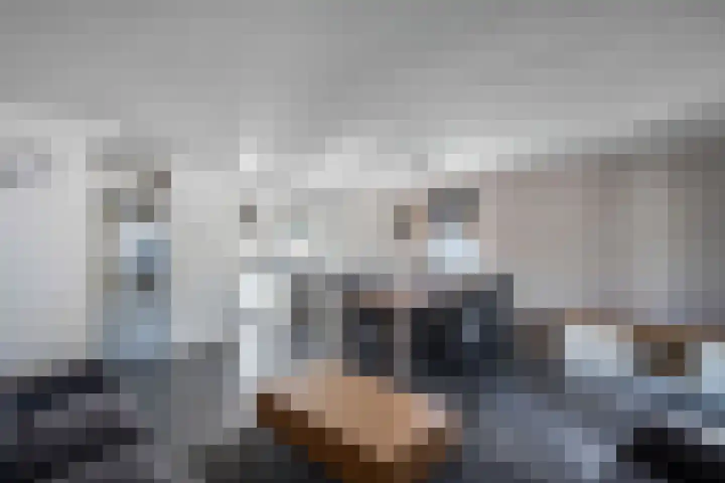 Aagje Dekenstraat 17 Zaandam thumbnail 5