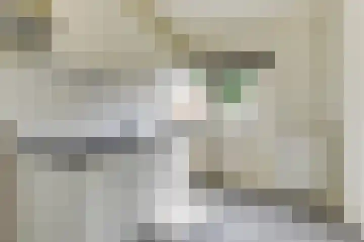 Aagje Dekenstraat 20 Alkmaar thumbnail 12