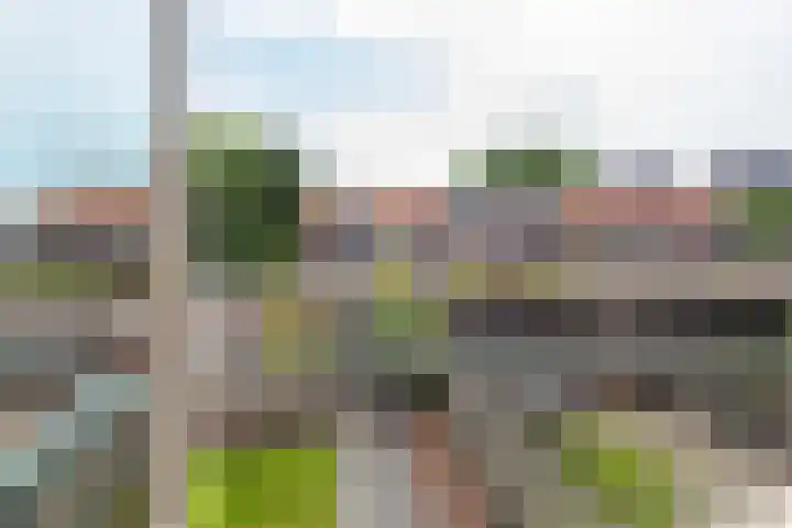 Aagje Dekenstraat 20 Alkmaar thumbnail 29