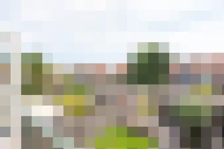 Aagje Dekenstraat 20 Alkmaar thumbnail 30