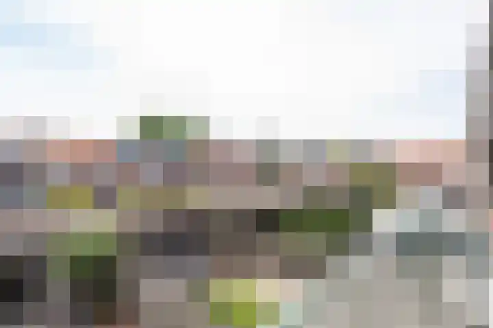 Aagje Dekenstraat 20 Alkmaar thumbnail 31