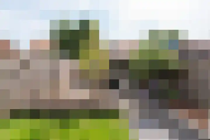 Aagje Dekenstraat 20 Alkmaar thumbnail 35