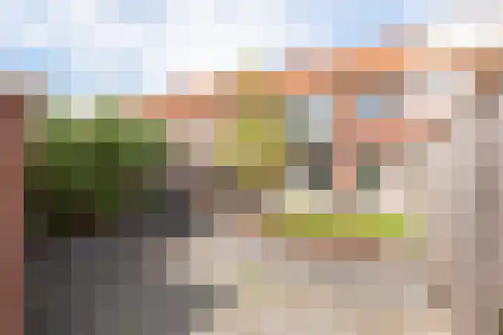 Aagje Dekenstraat 20 Alkmaar thumbnail 37