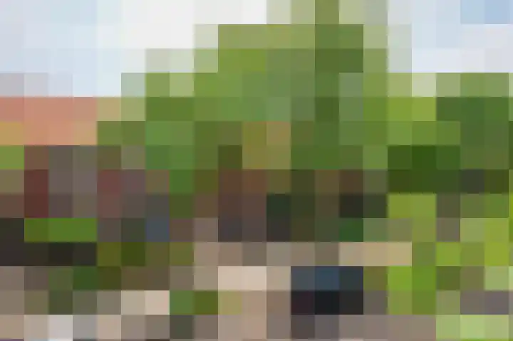 Aagje Dekenstraat 20 Alkmaar thumbnail 4