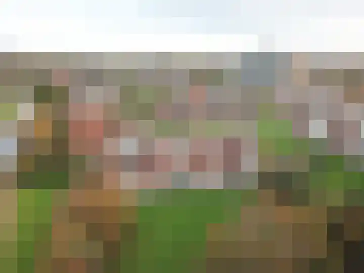 Aagje Dekenstraat 22 B Spijkenisse thumbnail 19