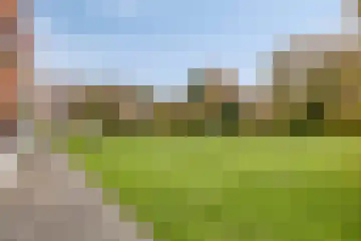 Aagje Dekenstraat 22 B Spijkenisse thumbnail 20