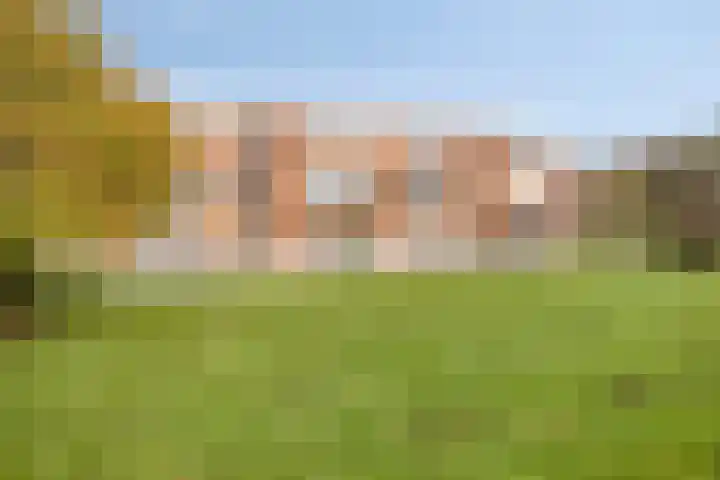 Aagje Dekenstraat 22 B Spijkenisse thumbnail 21