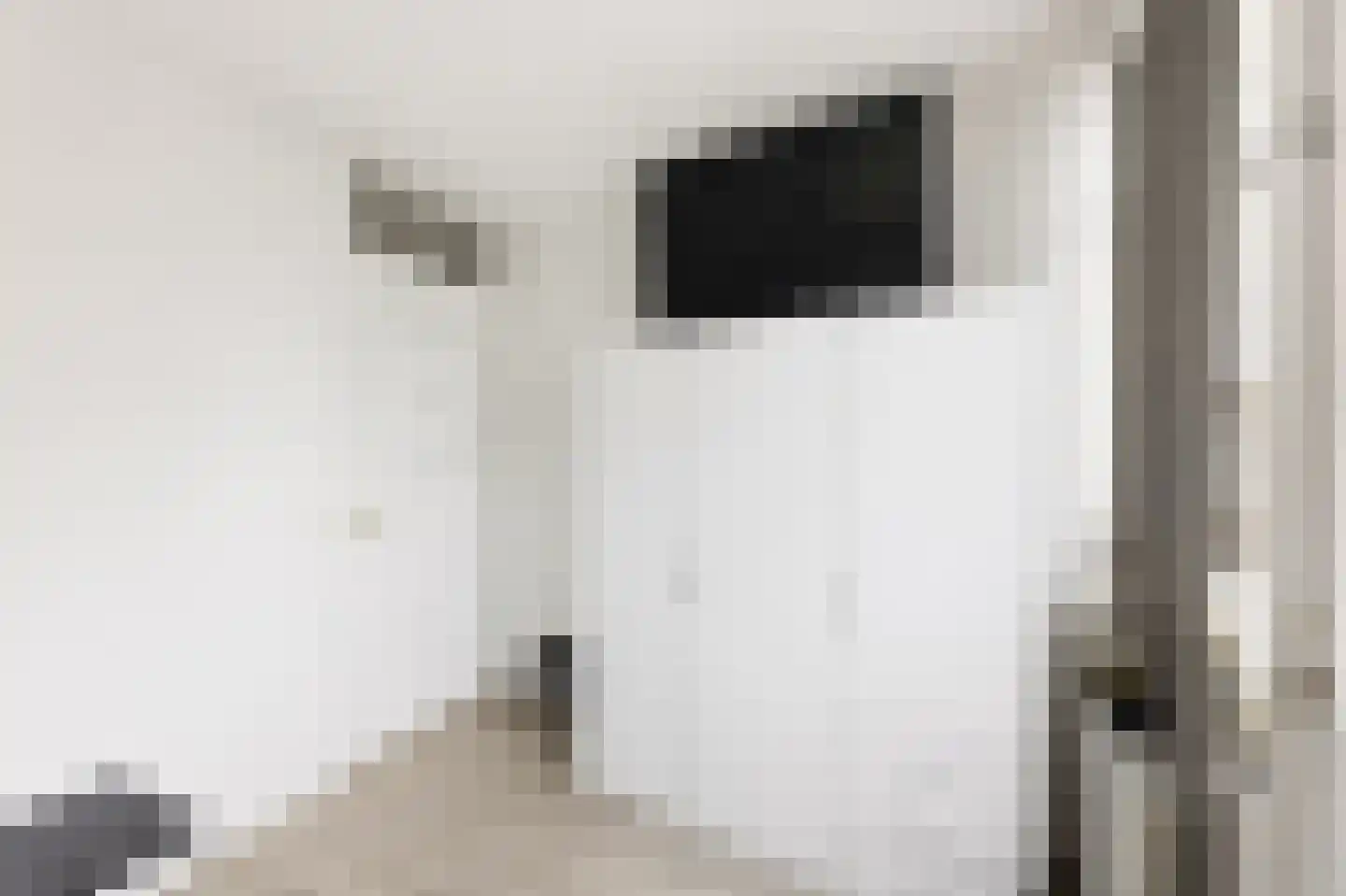 Aagje Dekenstraat 22 Vlissingen thumbnail 20