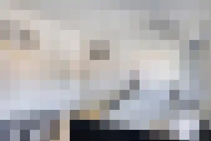 Aagje Dekenstraat 23 Terneuzen thumbnail 15