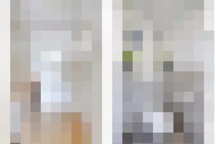 Aagje Dekenstraat 23 Terneuzen thumbnail 16