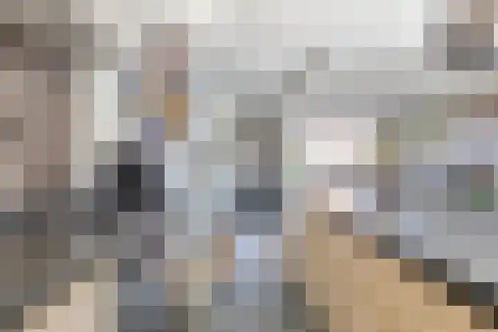 Aagje Dekenstraat 23 Terneuzen thumbnail 9