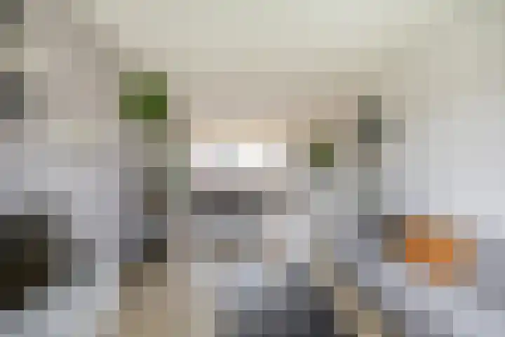 Aagje Dekenstraat 24 B Spijkenisse thumbnail 17