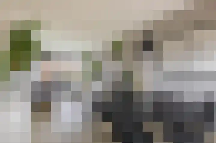 Aagje Dekenstraat 24 B Spijkenisse thumbnail 19