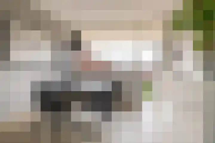 Aagje Dekenstraat 24 B Spijkenisse thumbnail 21