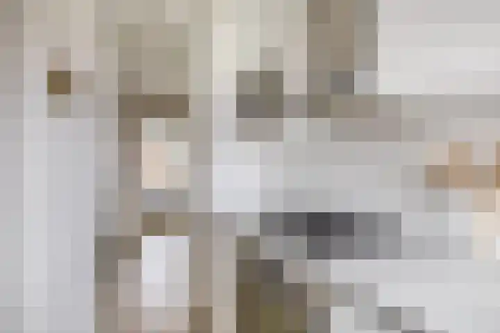 Aagje Dekenstraat 24 B Spijkenisse thumbnail 27