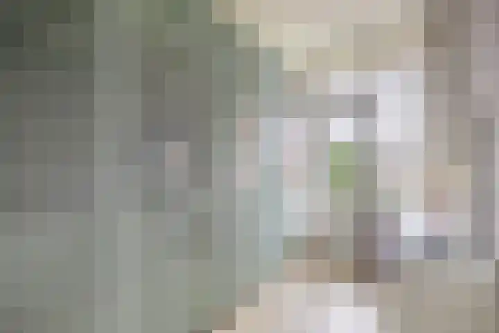 Aagje Dekenstraat 24 B Spijkenisse thumbnail 34