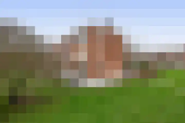 Aagje Dekenstraat 24 B Spijkenisse thumbnail 8