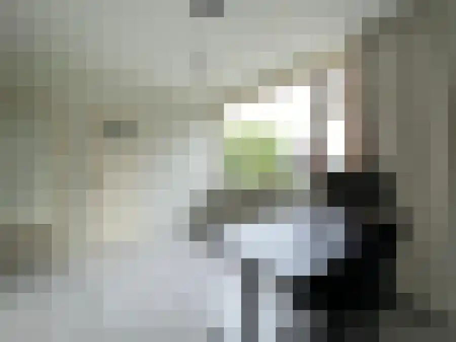 Aagje Dekenstraat 27 Zwolle thumbnail 4