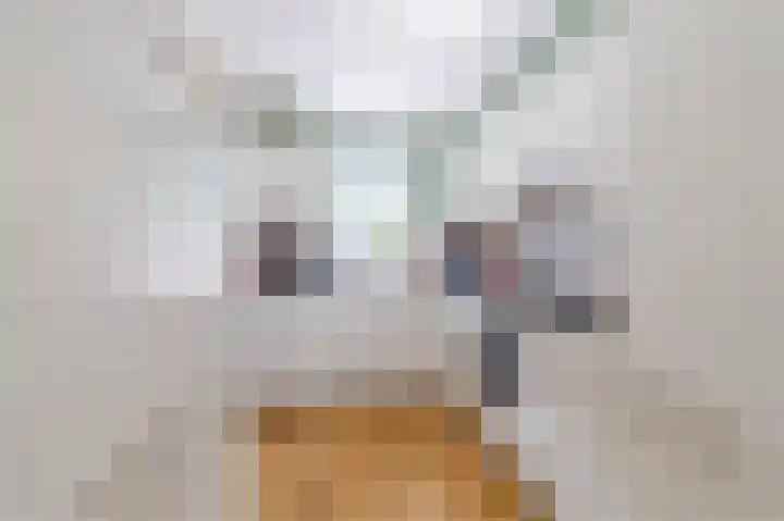 Aagje Dekenstraat 3 Pijnacker thumbnail 11