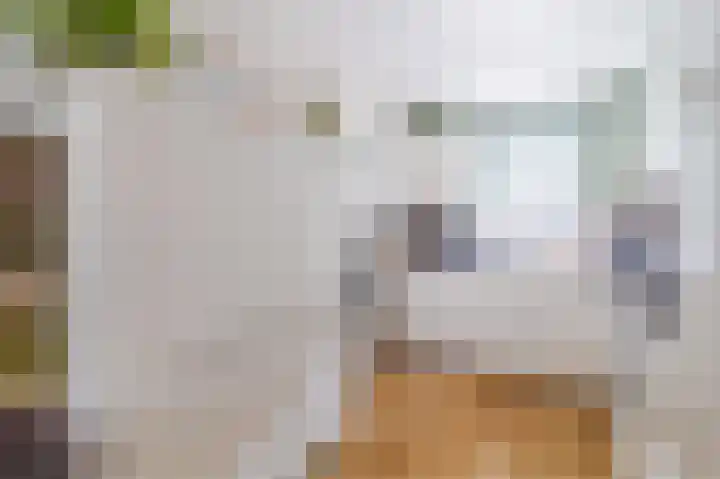 Aagje Dekenstraat 3 Pijnacker thumbnail 12