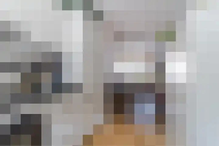 Aagje Dekenstraat 3 Pijnacker thumbnail 14