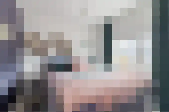 Aagje Dekenstraat 3 Pijnacker thumbnail 19
