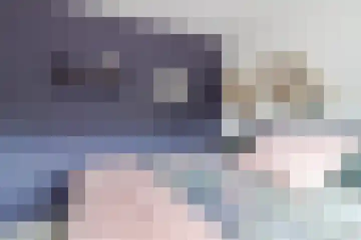 Aagje Dekenstraat 3 Pijnacker thumbnail 22