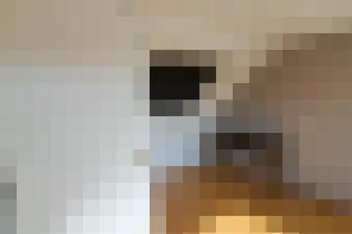 Aagje Dekenstraat 3 Pijnacker thumbnail 30