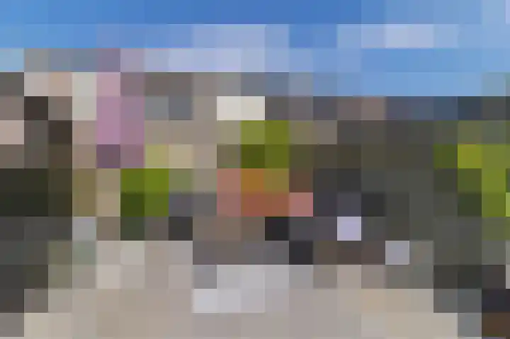 Aagje Dekenstraat 3 Pijnacker thumbnail 35