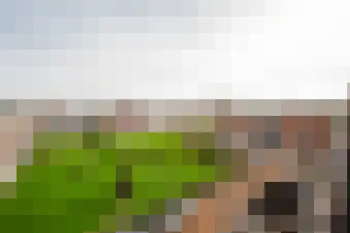 Aagje Dekenstraat 4 C Spijkenisse thumbnail 18